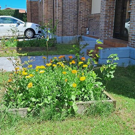 Casa Grande Con Jardin Villa ซานตาครูซ เด เบซานา ภายนอก รูปภาพ